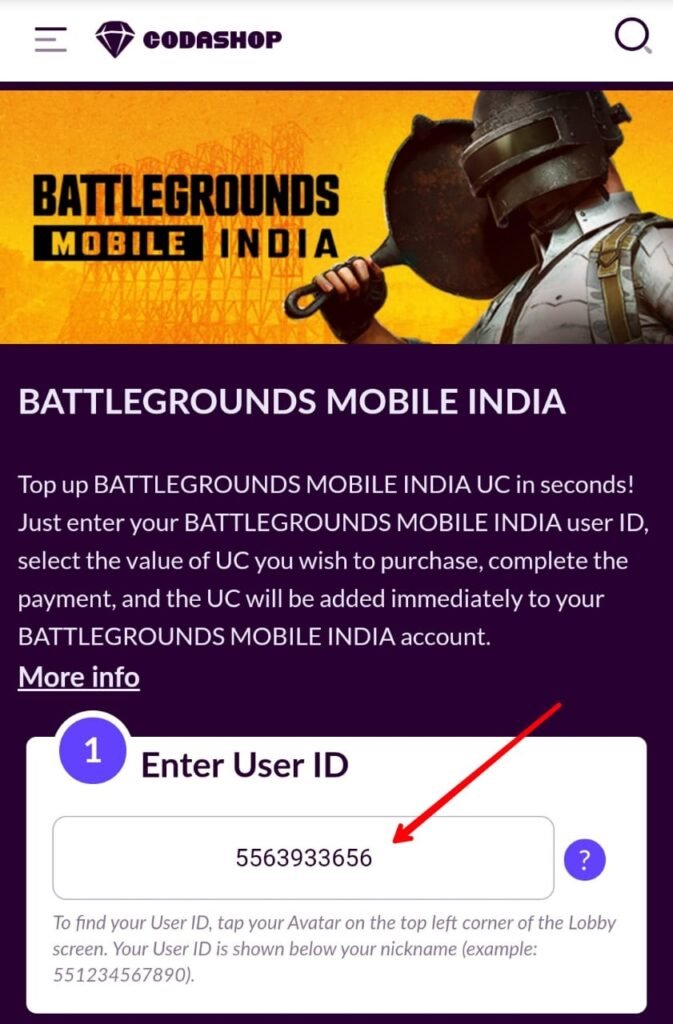 Enter User ID Codashop for BGMI