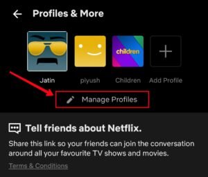 Manage profiles option in Netflix