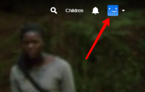 Netflix Profile icon on Desktop