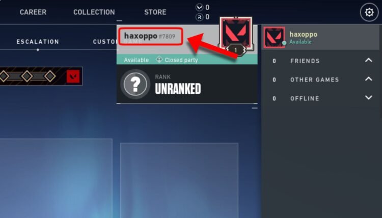 how-to-find-your-riot-id-in-valorant-mobmet
